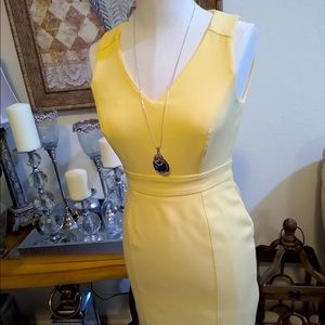 White House Black market dress